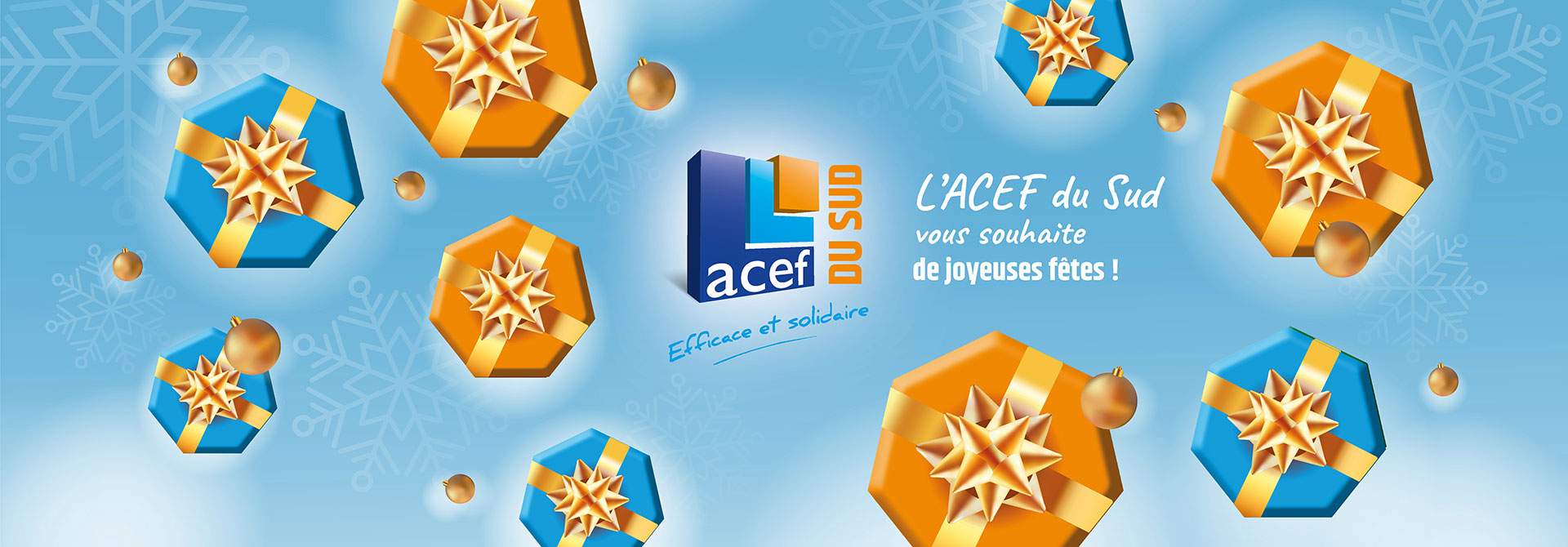 Bannière voeux 2026